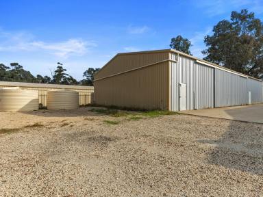 Industrial/Warehouse For Sale - VIC - Seymour - 3660 - 3 IN 1 WITH DEVELOPMENT POTENTIAL  (Image 2)