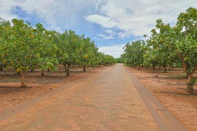 House Auction - VIC - Swan Hill - 3585 - "Gayton Grange" - Swan Hill Farm Lifestyle with Income  (Image 2)