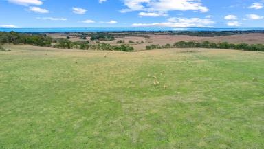 Residential Block For Sale - VIC - Narrawong - 3285 - Dream Home Location!  (Image 2)