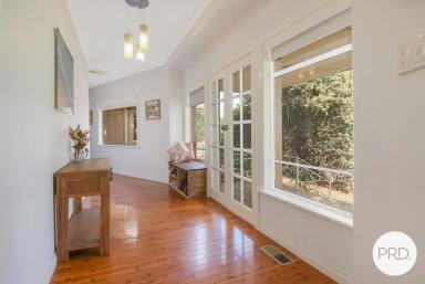 House For Lease - NSW - East Albury - 2640 - BEAUTIFUL THREE BEDROOM HOME IN EAST ALBURY!  (Image 2)