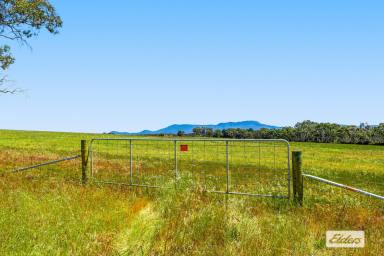 Residential Block Sold - VIC - Moyston - 3377 - Rural Living Allotments - Grampians Views  (Image 2)