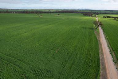 Other (Rural) For Sale - WA - York - 6302 - Seize Nature's Splendor at Bogling Rd, Caljie, via York       44.05ha(108.8acres)  (Image 2)