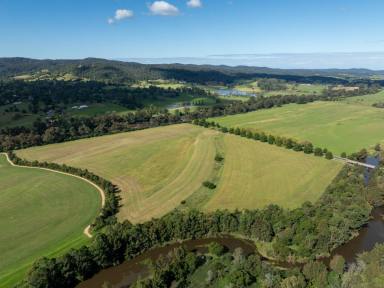 Cropping For Sale - NSW - Bega - 2550 - 41 ACRE CROPPING WITH IRRIGATION  (Image 2)