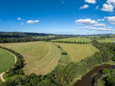 Cropping For Sale - NSW - Bega - 2550 - 41 ACRE CROPPING WITH IRRIGATION  (Image 2)