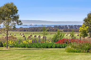 Lifestyle For Sale - VIC - Mannerim - 3222 - Productive Bellarine property with sweeping Port Phillip views  (Image 2)