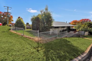 House For Sale - NSW - Batlow - 2730 - Picture Perfect Package  (Image 2)
