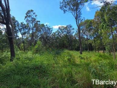 Residential Block For Sale - QLD - Macleay Island - 4184 - East Facing Block  (Image 2)