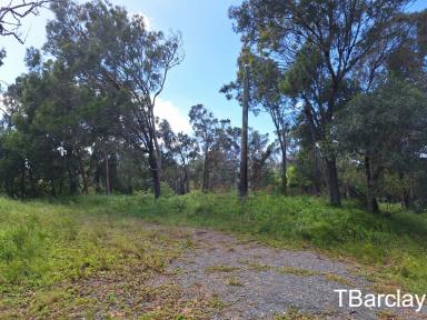 Residential Block For Sale - QLD - Macleay Island - 4184 - East Facing Block  (Image 2)