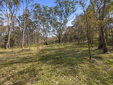 Residential Block For Sale - VIC - Heathcote - 3523 - Escape to the Country!  (Image 2)