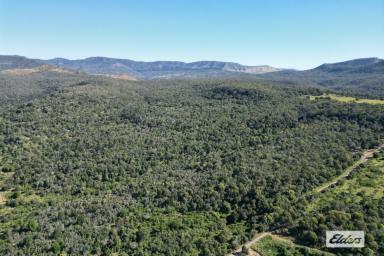 Residential Block For Sale - QLD - Mulgowie - 4341 - WOW - Just over 200 Acres at Mulgowie.  (Image 2)