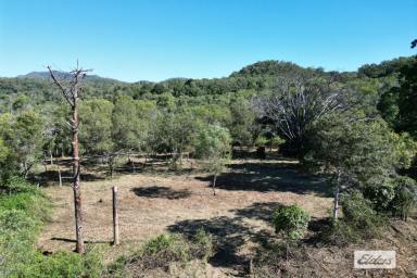 Residential Block Sold - QLD - Mulgowie - 4341 - WOW - Just over 200 Acres at Mulgowie.  (Image 2)