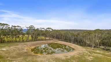 Residential Block For Sale - NSW - Mount Lambie - 2790 - Endless possibilities at Mount Lambie  (Image 2)