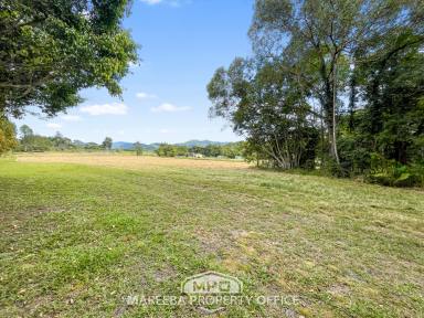 Residential Block For Sale - QLD - Julatten - 4871 - 5 ACRES, CREEK & PRIVATE CUL-DE-SAC  (Image 2)