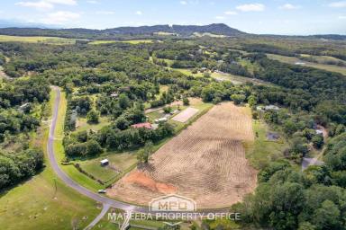 Residential Block For Sale - QLD - Julatten - 4871 - 5 ACRES, CREEK & PRIVATE CUL-DE-SAC  (Image 2)