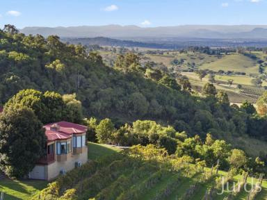 Lifestyle For Sale - NSW - Mount View - 2325 - BIMBADEEN ESTATE – HUNTER VALLEY WINE COUNTRY  (Image 2)
