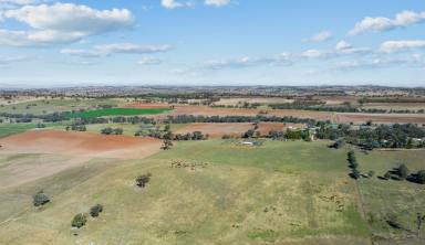 Lifestyle Auction - NSW - Harden - 2587 - Must Sell for Retirement Dream!  (Image 2)