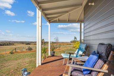 Lifestyle For Sale - NSW - Harden - 2587 - Must Sell for Retirement Dream!  (Image 2)