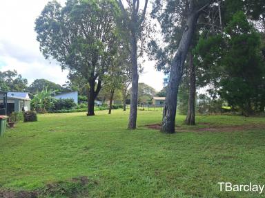 Residential Block For Sale - QLD - Macleay Island - 4184 - Ready, Set, Go!  (Image 2)