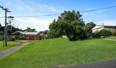 Residential Block For Sale - NSW - Robertson - 2577 - Bring Your Dreams to Life! 689m2 Vacant Block  (Image 2)