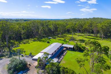 Residential Block For Sale - NSW - Verges Creek - 2440 - Big Shed on Big Acres with Even Bigger Potential!  (Image 2)