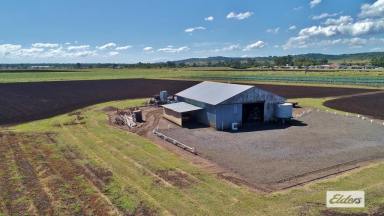 Residential Block For Sale - QLD - Laidley - 4341 - Endless Options - 11 Acres on Laidley Doorstep  (Image 2)