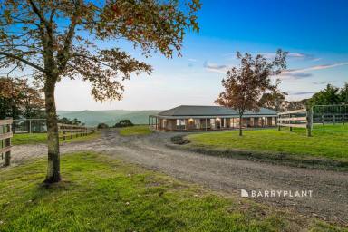 House For Sale - VIC - Pakenham Upper - 3810 - A 10 Acre Family Haven  (Image 2)
