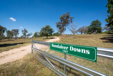 Other (Rural) Auction - NSW - O'Connell - 2795 - “BUNDALEER DOWNS” SCALABLE GRAZING COUNTRY WITH LOADS OF OPPORTUNITY  (Image 2)