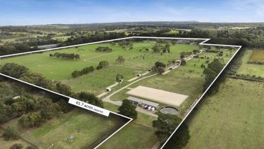 Acreage/Semi-rural For Sale - VIC - Hastings - 3915 - ‘Eternal Flame’ – Equine Agistment & Luxury  (Image 2)