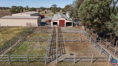 Mixed Farming For Sale - VIC - Arcadia - 3631 - Elite Equine Opportunity - Shepparton Area  (Image 2)