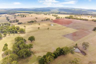 Mixed Farming For Sale - VIC - Bunding - 3342 - Discover the perfect blend of rural tranquility and convenience with these stunning properties, located just minutes from Ballan Town Centre.  (Image 2)