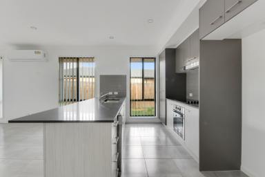 House Leased - QLD - Helidon - 4344 - Modern Family Home in Helidon  (Image 2)