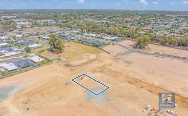 Residential Block For Sale - NSW - Moama - 2731 - Titled 754sqm lot with a superb north facing aspect  (Image 2)