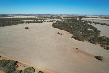 Other (Rural) For Sale - WA - Quairading - 6383 - "Discover Tranquility at Suaimhneas Farm"  (Image 2)