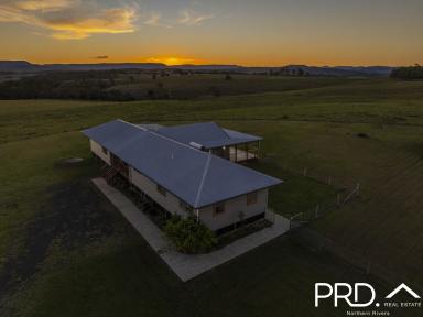 House For Lease - NSW - Stratheden - 2470 - Large Modern Family Home with Rural Views  (Image 2)