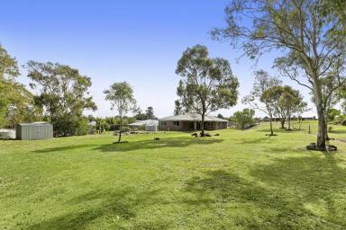 House For Sale - QLD - Cawdor - 4352 - Five Bedrooms + Three Living Rooms on 3,001m2 Block!  (Image 2)