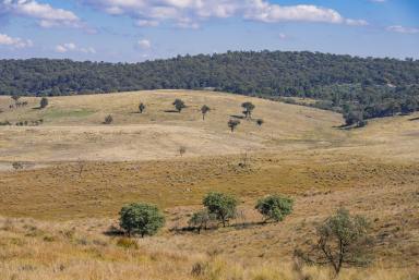 Lifestyle For Sale - NSW - Yass River - 2582 - LIFESTYLE ON CANBERRA’S DOORSTEP  (Image 2)