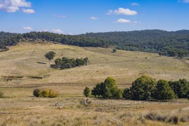 Lifestyle For Sale - NSW - Yass River - 2582 - LIFESTYLE ON CANBERRA’S DOORSTEP  (Image 2)