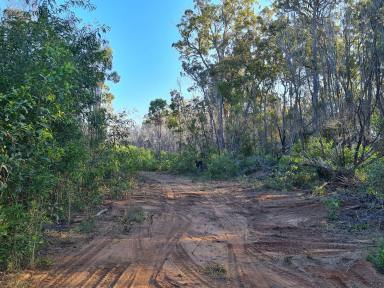 Lifestyle Sold - QLD - Baffle Creek - 4674 - 410 ACRES OF PEACE & PRIVACY - 7.5KM FROM RULES BEACH & 6.5KM FROM THE BOAT RAMP  (Image 2)