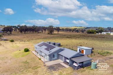 Acreage/Semi-rural For Sale - NSW - Glen Innes - 2370 - Meticulous In Every Way  (Image 2)