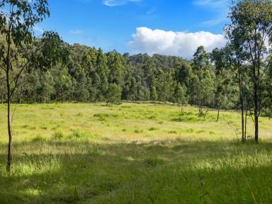 Livestock For Sale - NSW - Duck Creek - 2469 - Sizeable Grazing Opportunity  (Image 2)