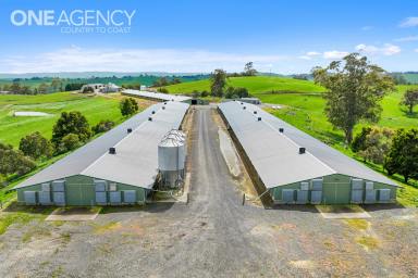 Mixed Farming For Sale - VIC - Mountain View - 3988 - Multi Purpose Property  (Image 2)