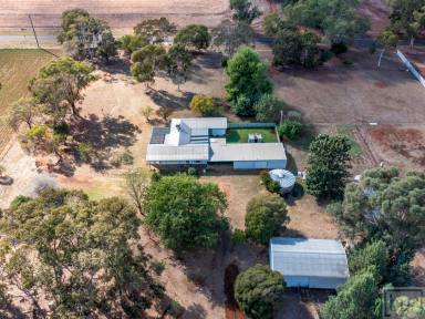 Lifestyle Sold - NSW - Corowa - 2646 - Conveniently Located  (Image 2)