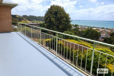 House For Lease - TAS - West Ulverstone - 7315 - RENOVATED HOME WITH SPECTACULAR VIEWS  (Image 2)