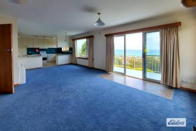 House For Lease - TAS - West Ulverstone - 7315 - RENOVATED HOME WITH SPECTACULAR VIEWS  (Image 2)
