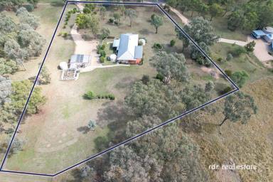 Acreage/Semi-rural For Sale - NSW - Inverell - 2360 - THIS IS LIVING! PRIVACY, ACREAGE, LOCATION  (Image 2)