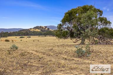Other (Rural) For Sale - VIC - Redbank - 3477 - 20 Acres of Tranquil Country  (Image 2)