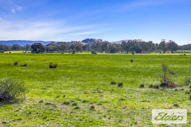 Other (Rural) For Sale - VIC - Redbank - 3477 - 20 Acres of Tranquil Country  (Image 2)
