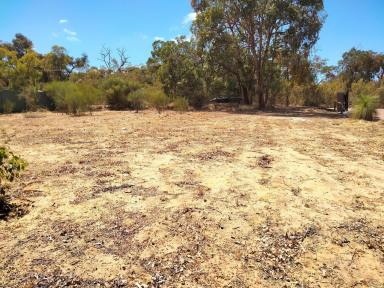 Residential Block For Sale - WA - Bullsbrook - 6084 - "Experience the serenity of Bullsbrook with this 2002sqm land, ready to build your dream home on. Don't miss your chance to escape the city!"  (Image 2)