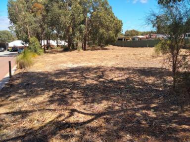 Residential Block For Sale - WA - Bullsbrook - 6084 - "Experience the serenity of Bullsbrook with this 2002sqm land, ready to build your dream home on. Don't miss your chance to escape the city!"  (Image 2)