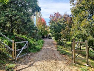 House Sold - NSW - Gundagai - 2722 - 'Cobbadah'  Private and Peaceful........Perfect.  (Image 2)